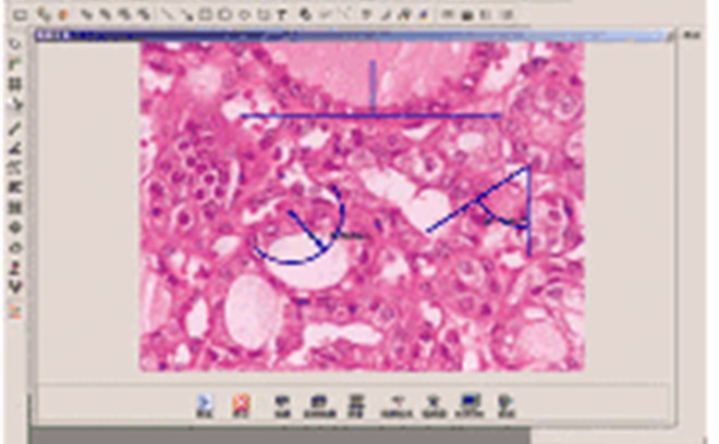 生物分析管理軟件WY-UV-P