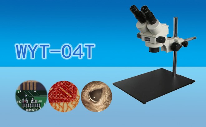 大底座連體視好色先生污视频WYT-04T